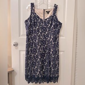 Navy Lace Dress